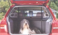 DogInCarSmall